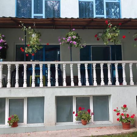 Casa Albastra Hotel Drumu Carului Екстериор снимка