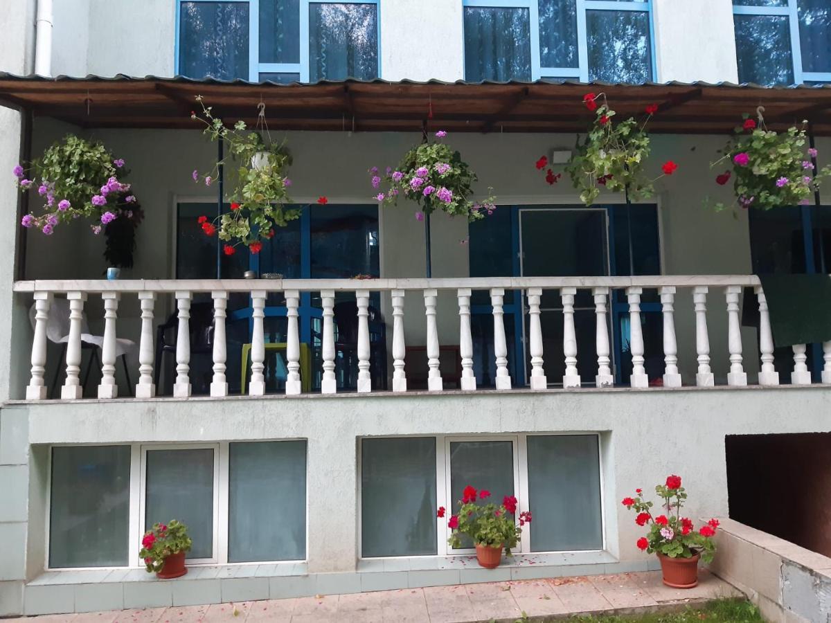 Casa Albastra Hotel Drumu Carului Екстериор снимка