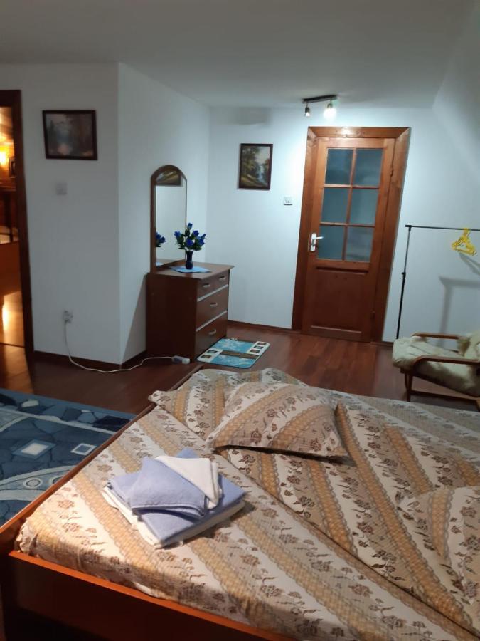 Casa Albastra Hotel Drumu Carului Екстериор снимка