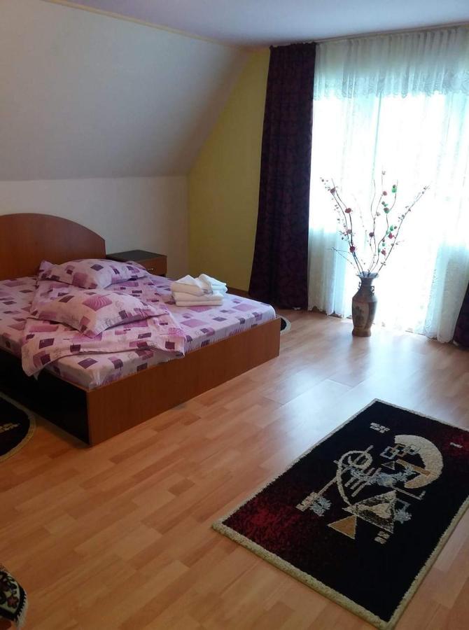 Casa Albastra Hotel Drumu Carului Екстериор снимка