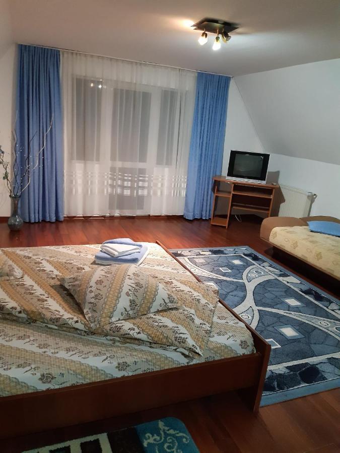 Casa Albastra Hotel Drumu Carului Екстериор снимка
