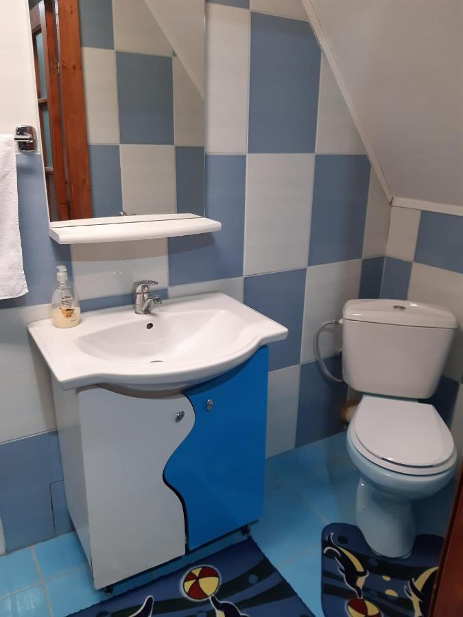 Casa Albastra Hotel Drumu Carului Екстериор снимка
