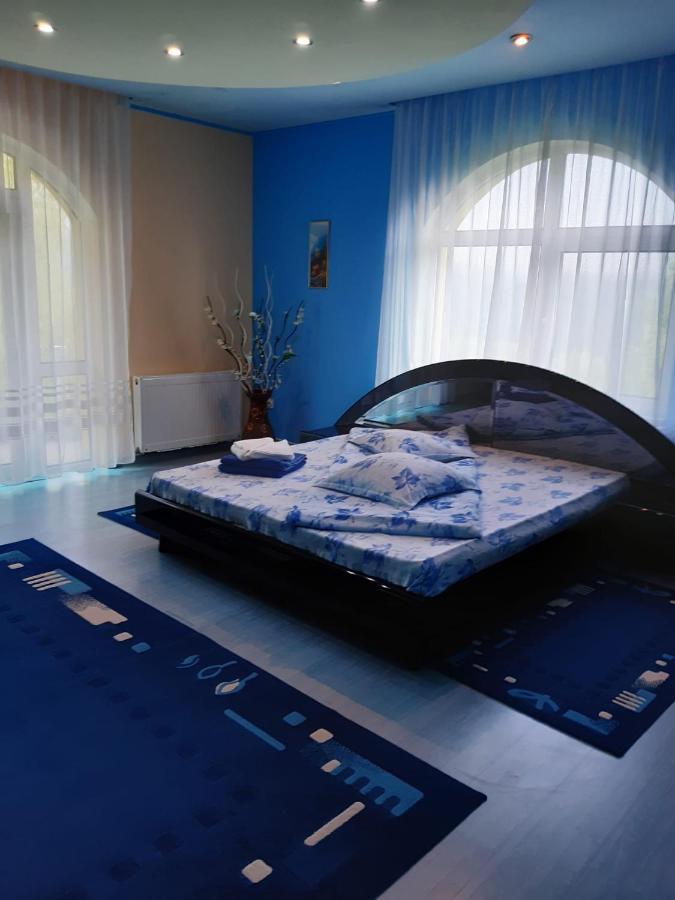 Casa Albastra Hotel Drumu Carului Екстериор снимка